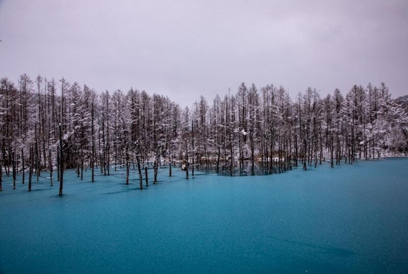 Biei Shirogane No Yu Hotel Buitenkant foto