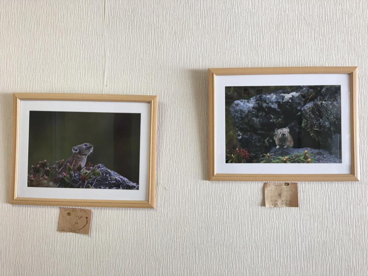 Biei Shirogane No Yu Hotel Buitenkant foto